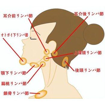 肌荒れとリンパの意外な関係。池袋/肌管理